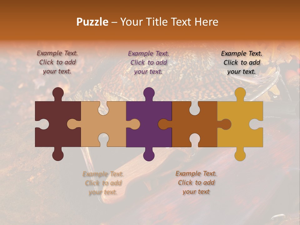 A Bird Sitting On Top Of A Wooden Bench PowerPoint Template