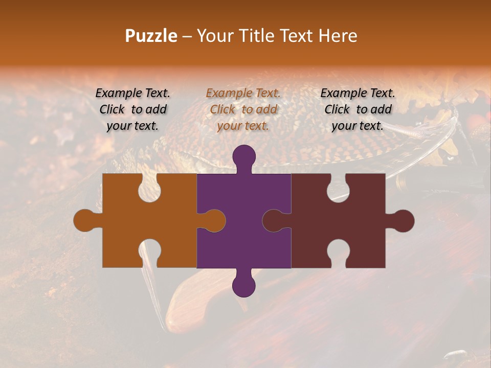 A Bird Sitting On Top Of A Wooden Bench PowerPoint Template