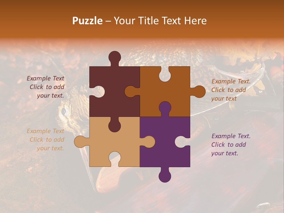 A Bird Sitting On Top Of A Wooden Bench PowerPoint Template