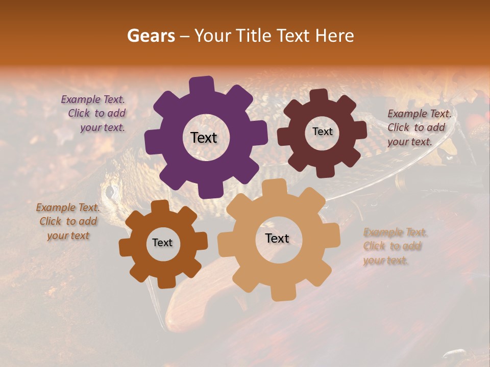 A Bird Sitting On Top Of A Wooden Bench PowerPoint Template