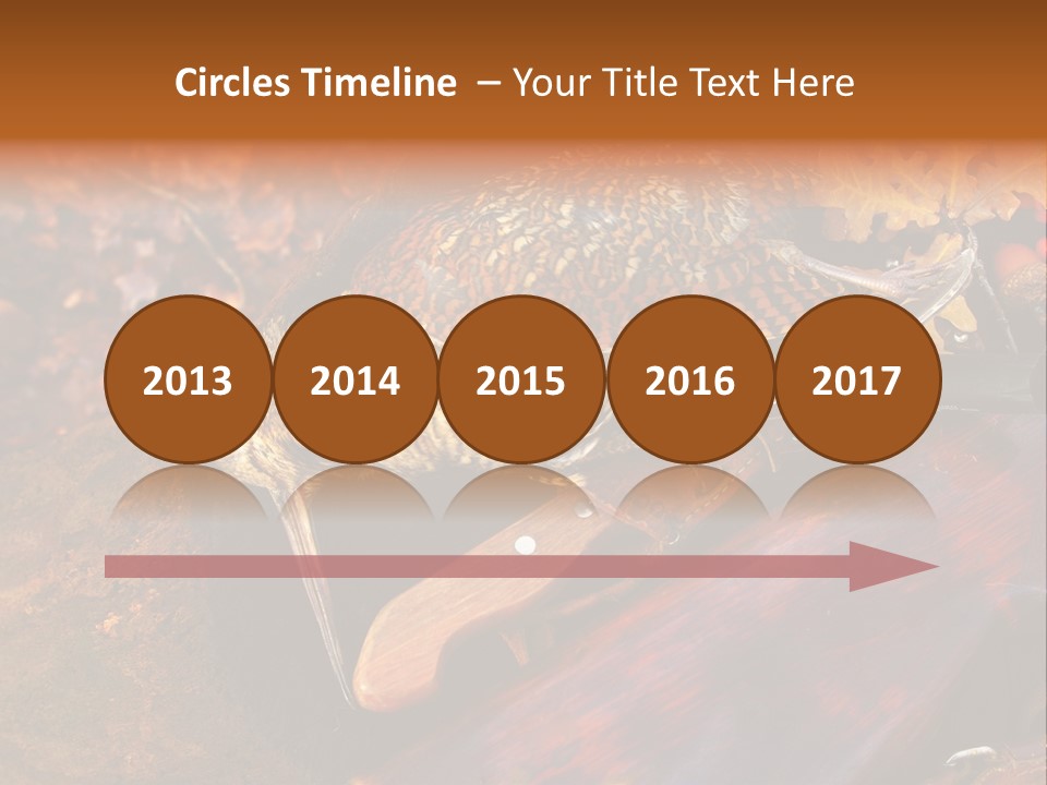 A Bird Sitting On Top Of A Wooden Bench PowerPoint Template