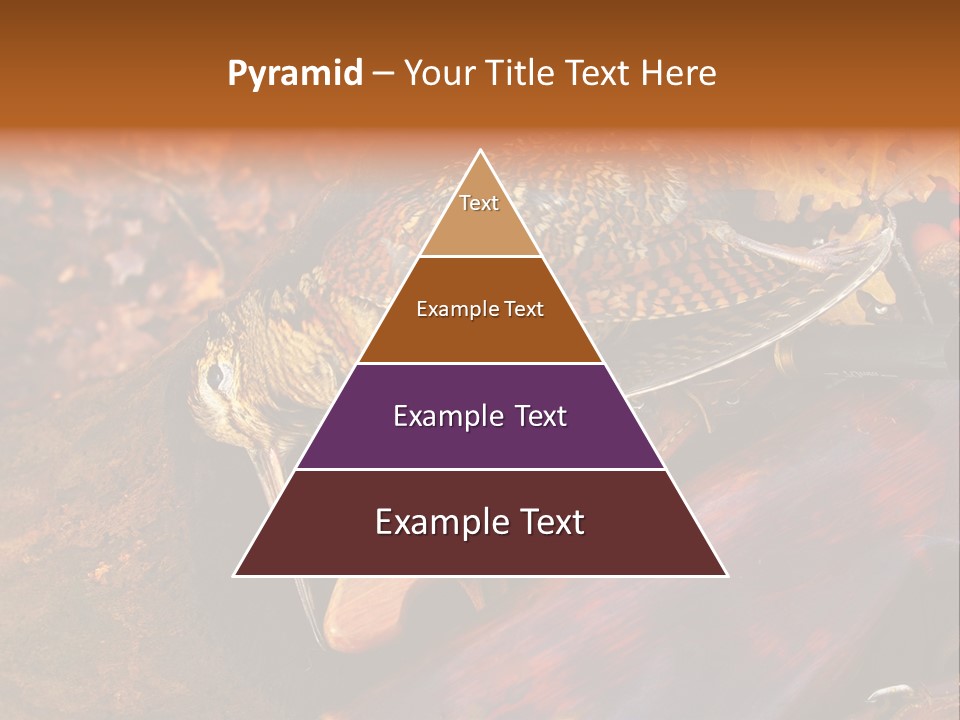 A Bird Sitting On Top Of A Wooden Bench PowerPoint Template