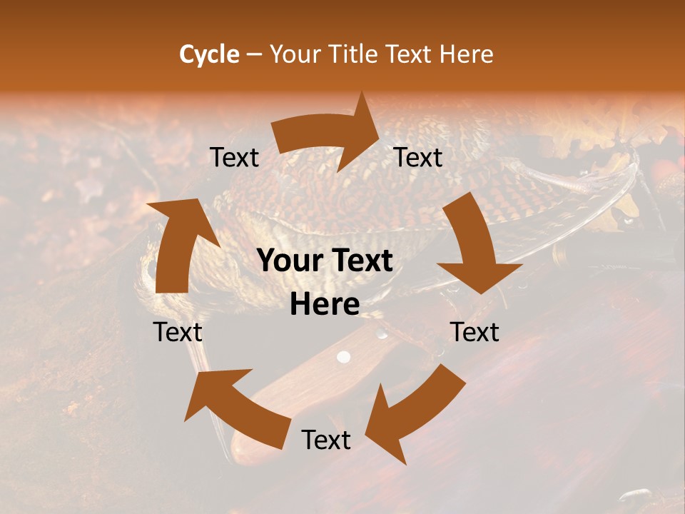 A Bird Sitting On Top Of A Wooden Bench PowerPoint Template