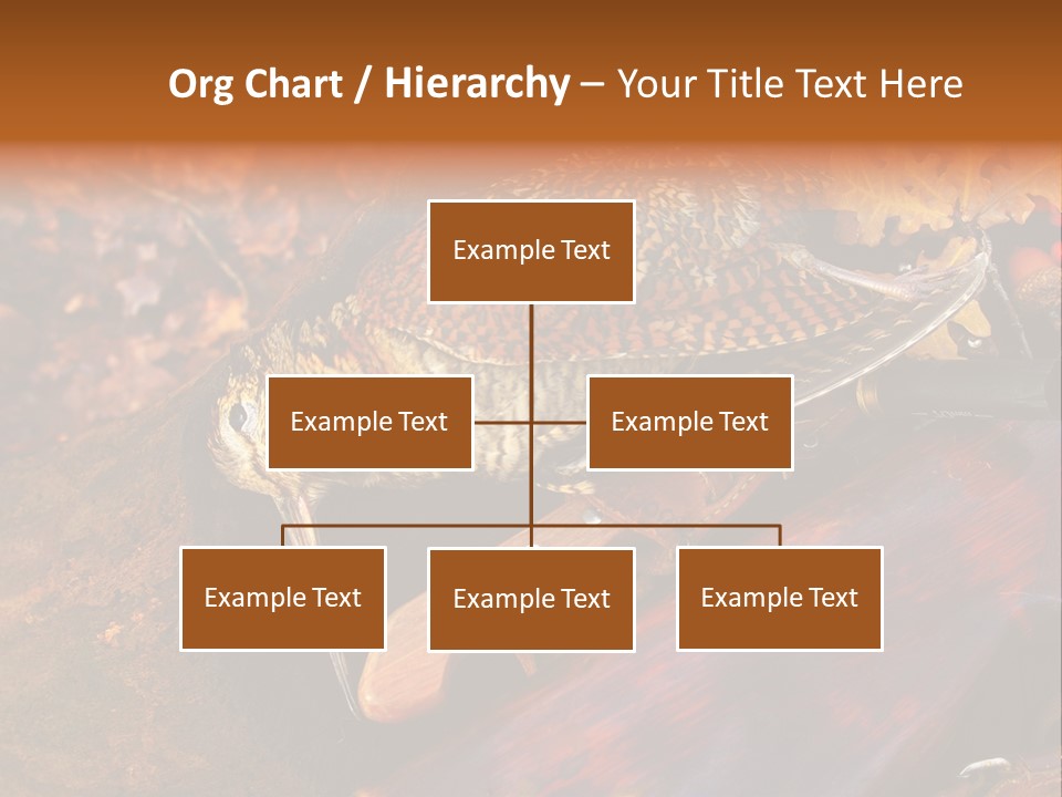 A Bird Sitting On Top Of A Wooden Bench PowerPoint Template