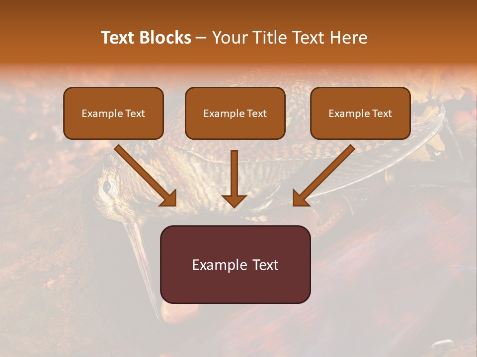 A Bird Sitting On Top Of A Wooden Bench PowerPoint Template