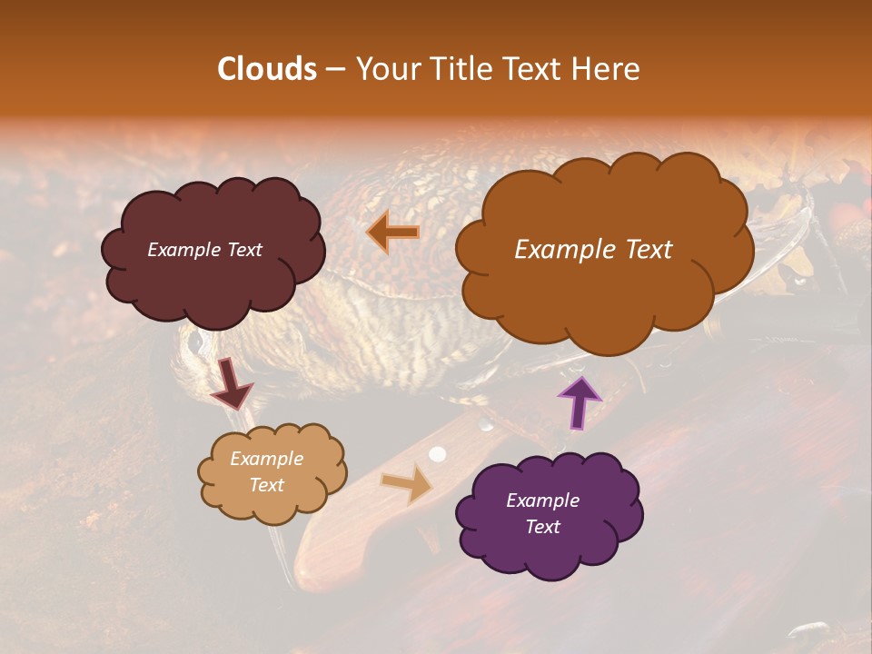 A Bird Sitting On Top Of A Wooden Bench PowerPoint Template
