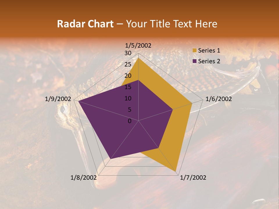 A Bird Sitting On Top Of A Wooden Bench PowerPoint Template