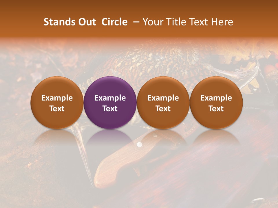 A Bird Sitting On Top Of A Wooden Bench PowerPoint Template