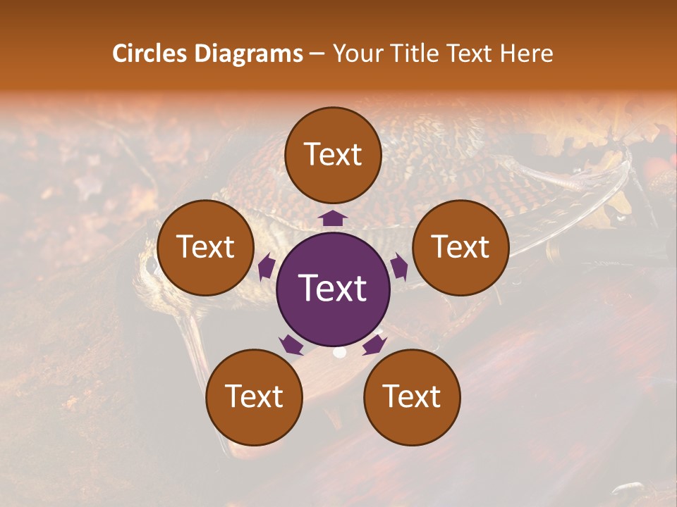 A Bird Sitting On Top Of A Wooden Bench PowerPoint Template