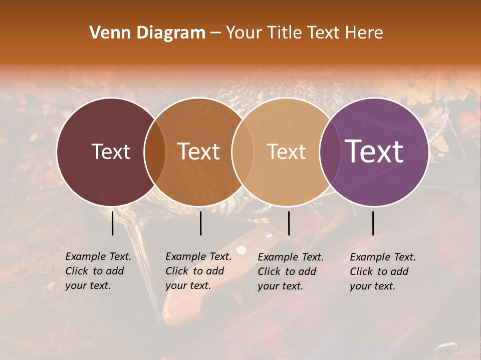 A Bird Sitting On Top Of A Wooden Bench PowerPoint Template