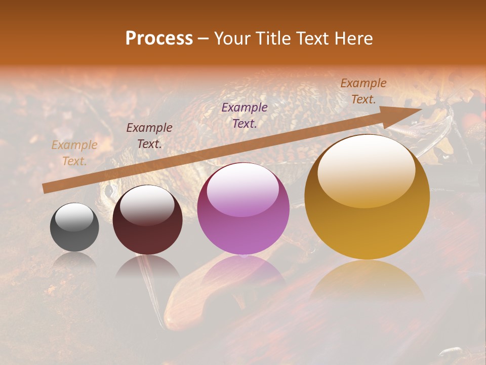 A Bird Sitting On Top Of A Wooden Bench PowerPoint Template