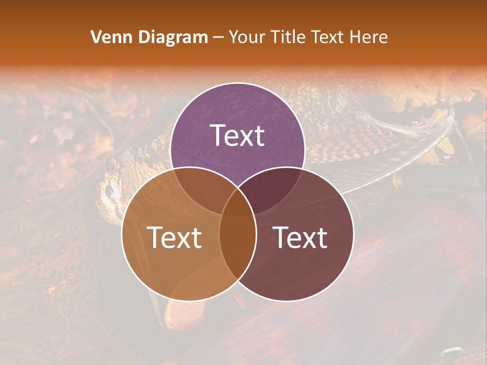 A Bird Sitting On Top Of A Wooden Bench PowerPoint Template