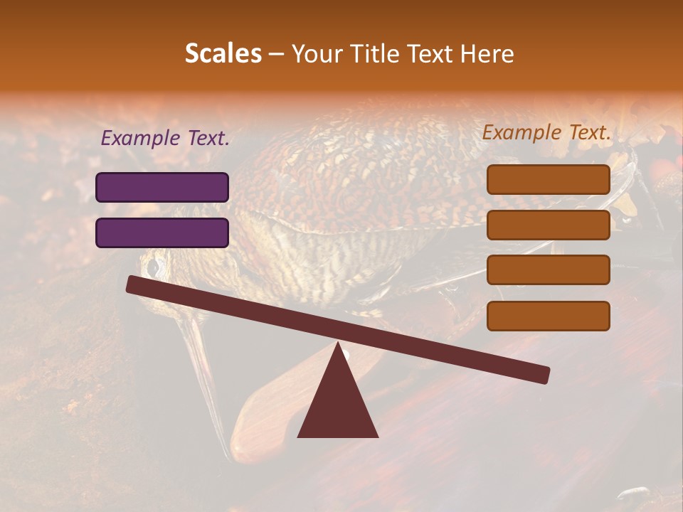 A Bird Sitting On Top Of A Wooden Bench PowerPoint Template