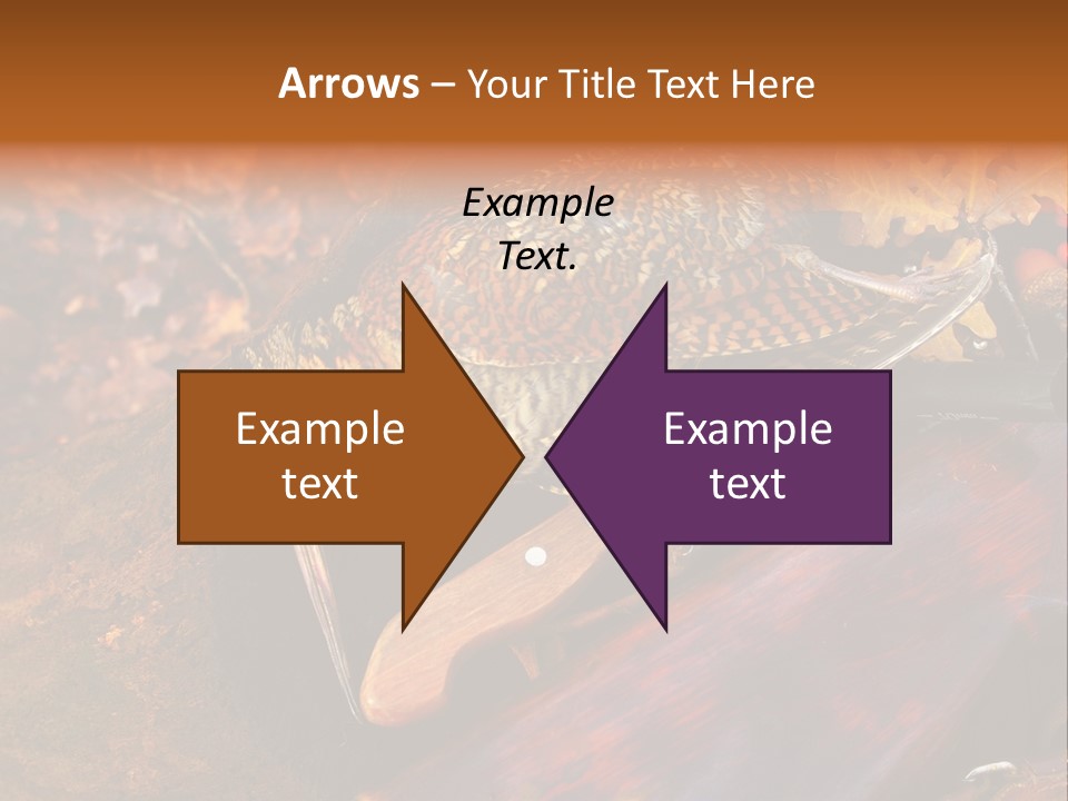 A Bird Sitting On Top Of A Wooden Bench PowerPoint Template