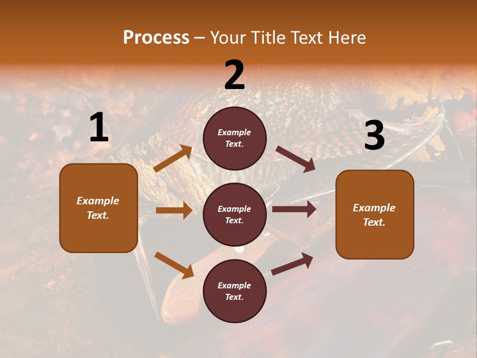 A Bird Sitting On Top Of A Wooden Bench PowerPoint Template