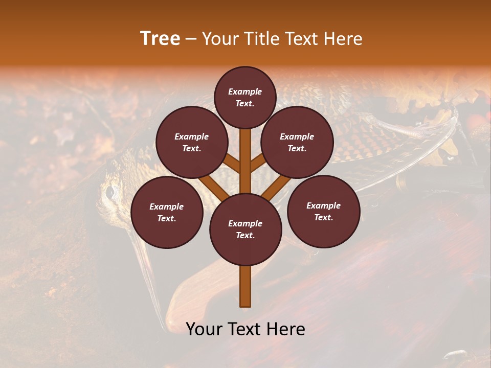 A Bird Sitting On Top Of A Wooden Bench PowerPoint Template