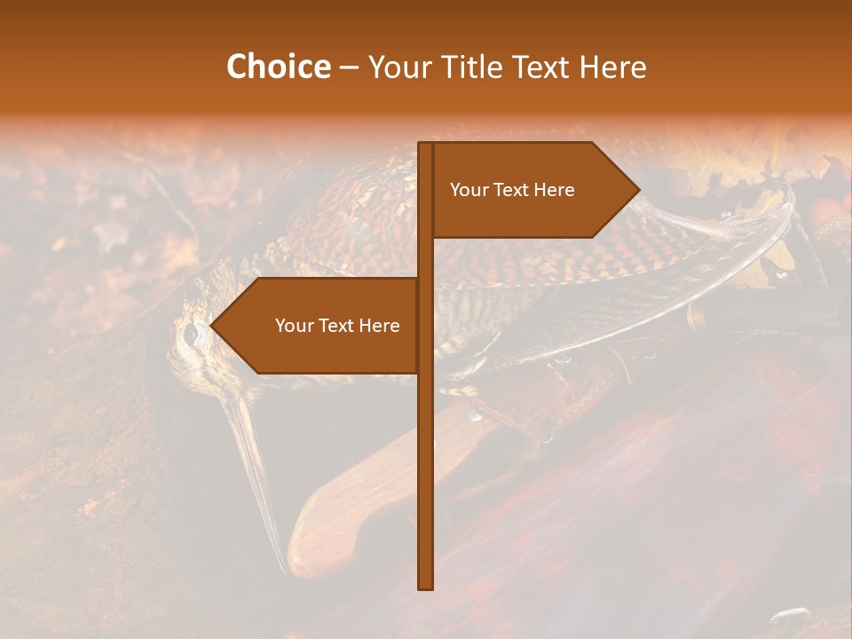 A Bird Sitting On Top Of A Wooden Bench PowerPoint Template