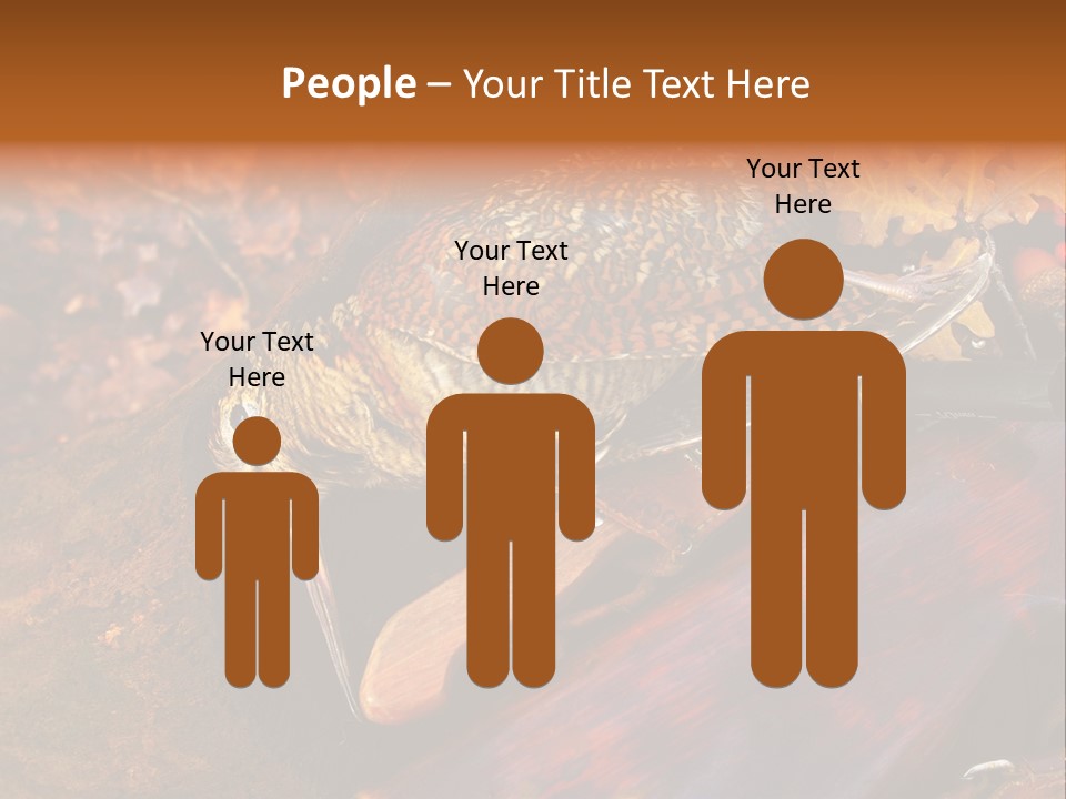 A Bird Sitting On Top Of A Wooden Bench PowerPoint Template