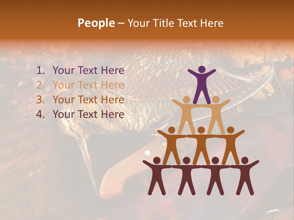 A Bird Sitting On Top Of A Wooden Bench PowerPoint Template