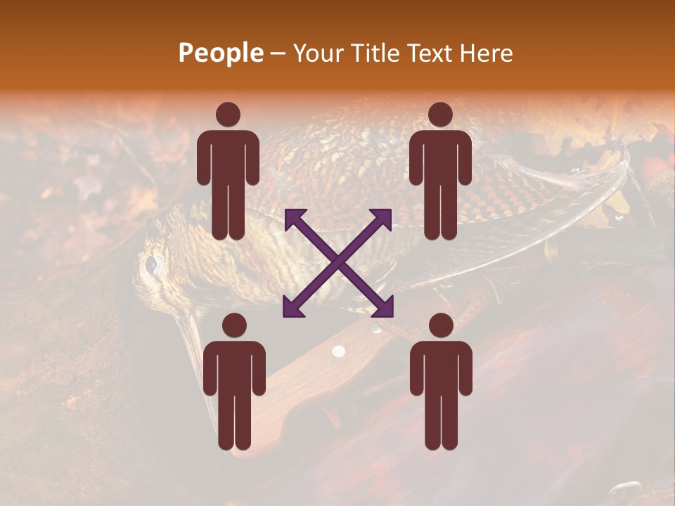 A Bird Sitting On Top Of A Wooden Bench PowerPoint Template