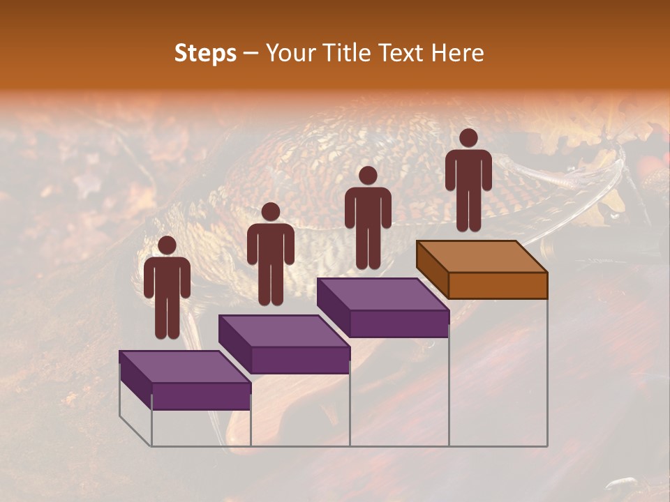 A Bird Sitting On Top Of A Wooden Bench PowerPoint Template