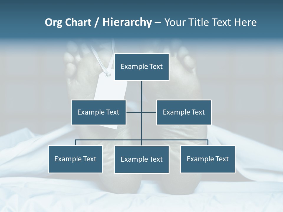 Death Text Rate PowerPoint Template