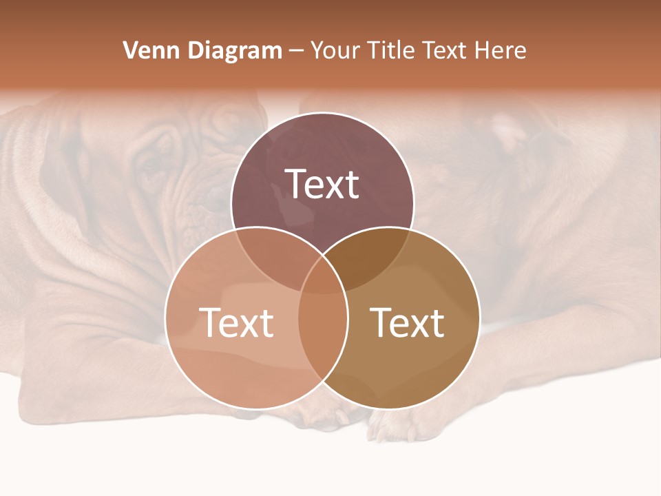 Fun Game Puppy PowerPoint Template