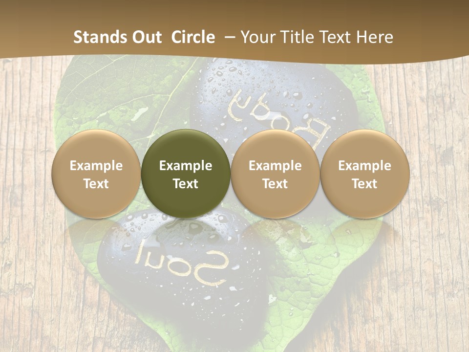 Alternative Mystical Heal PowerPoint Template