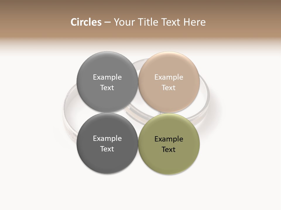 Two Silver Wedding Rings On A White Background PowerPoint Template