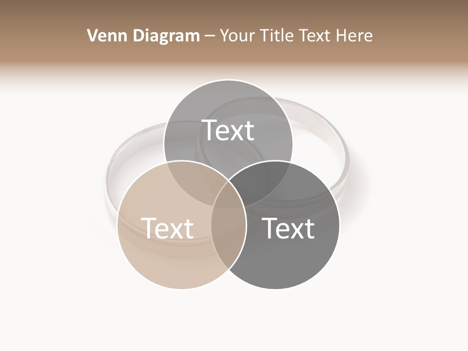 Two Silver Wedding Rings On A White Background PowerPoint Template