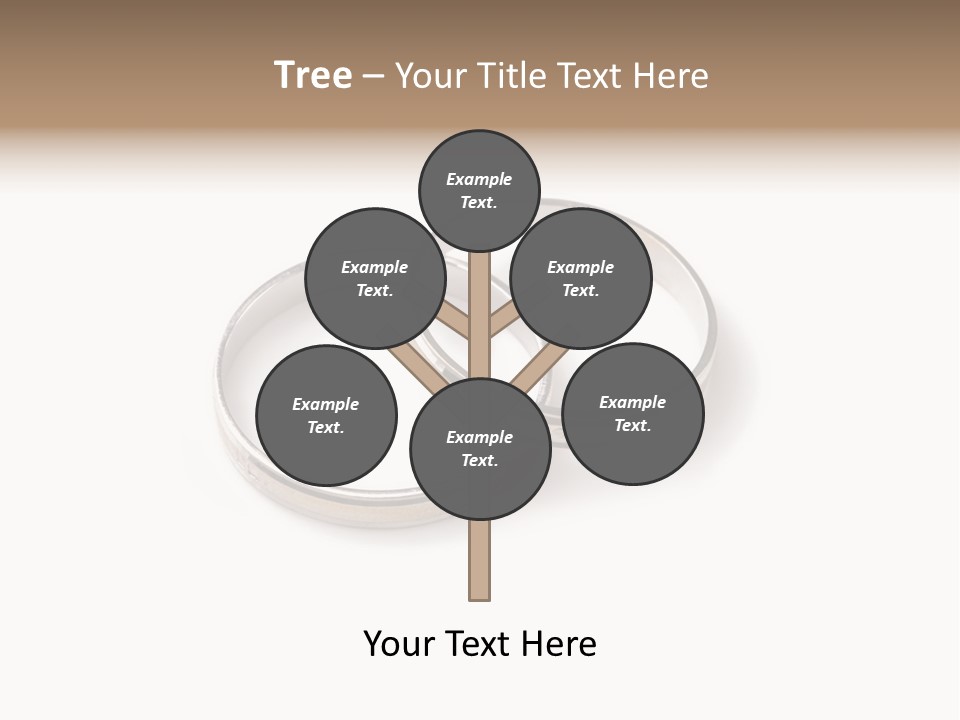 Two Silver Wedding Rings On A White Background PowerPoint Template