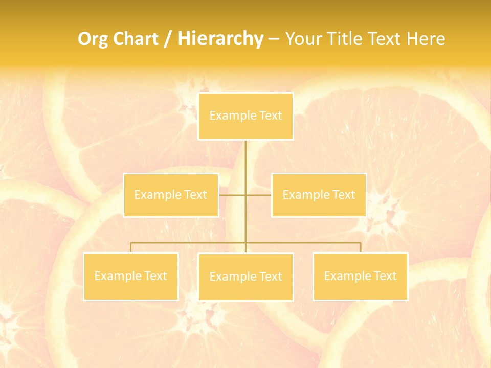 Spice Close Up Coriander PowerPoint Template