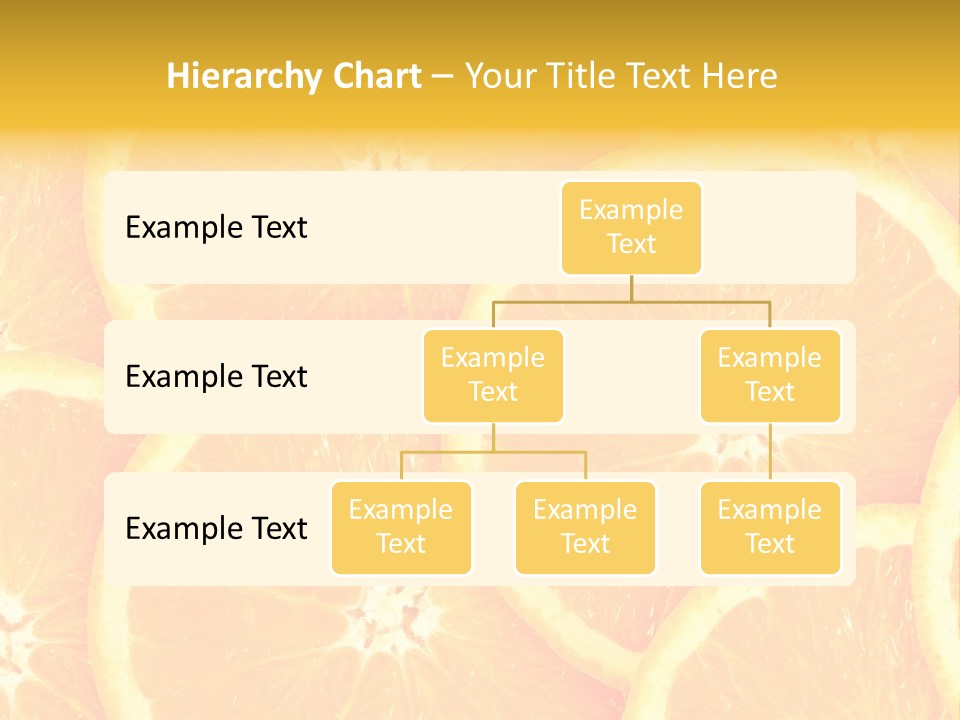 Spice Close Up Coriander PowerPoint Template