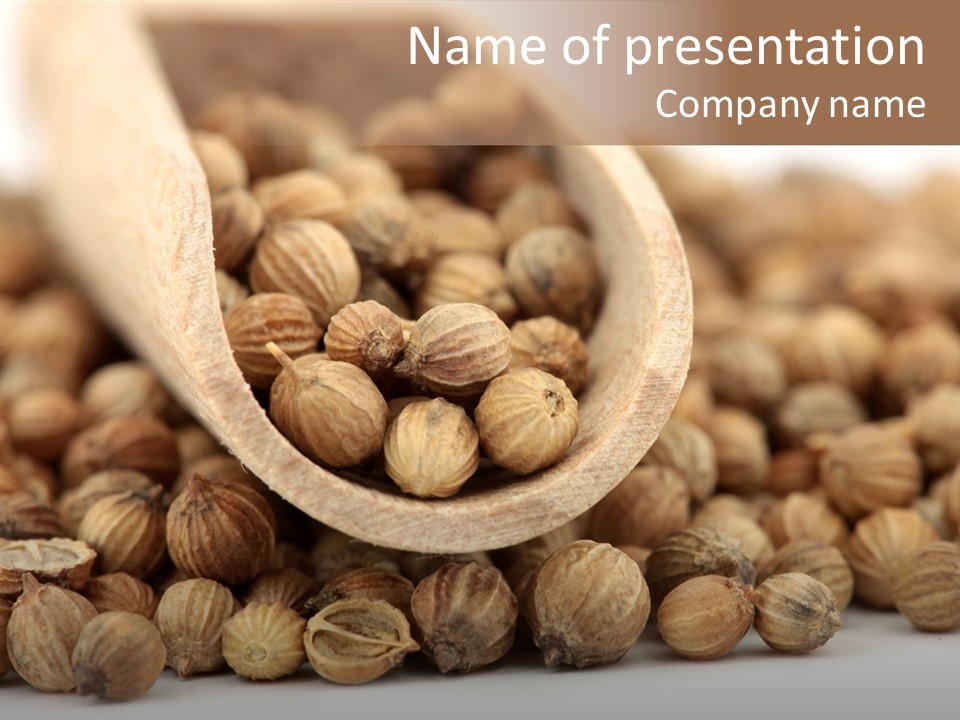 Spice Close Up Coriander PowerPoint Template