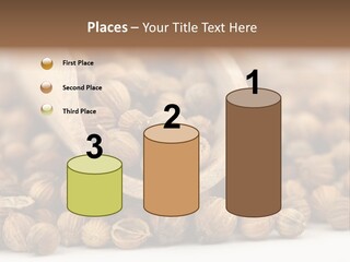 Spice Close Up Coriander PowerPoint Template