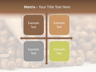 Spice Close Up Coriander PowerPoint Template