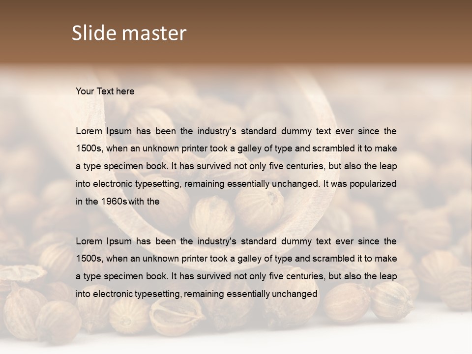 Spice Close Up Coriander PowerPoint Template
