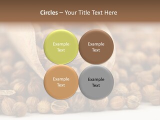 Spice Close Up Coriander PowerPoint Template