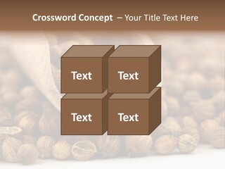 Spice Close Up Coriander PowerPoint Template