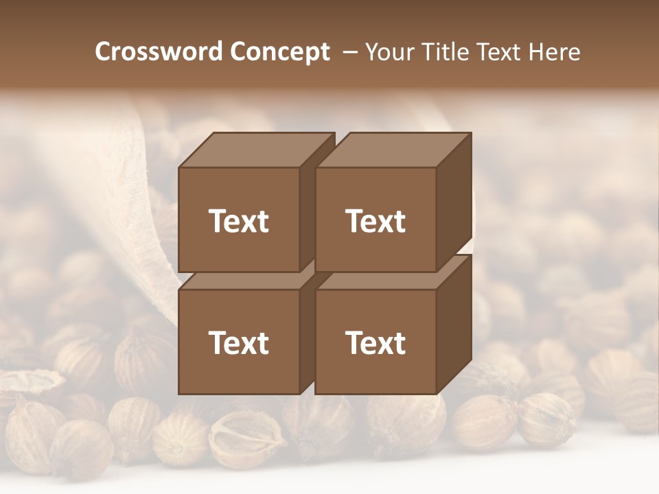 Spice Close Up Coriander PowerPoint Template