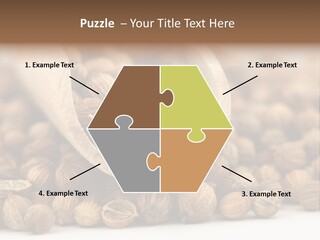Spice Close Up Coriander PowerPoint Template