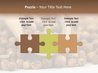 Spice Close Up Coriander PowerPoint Template