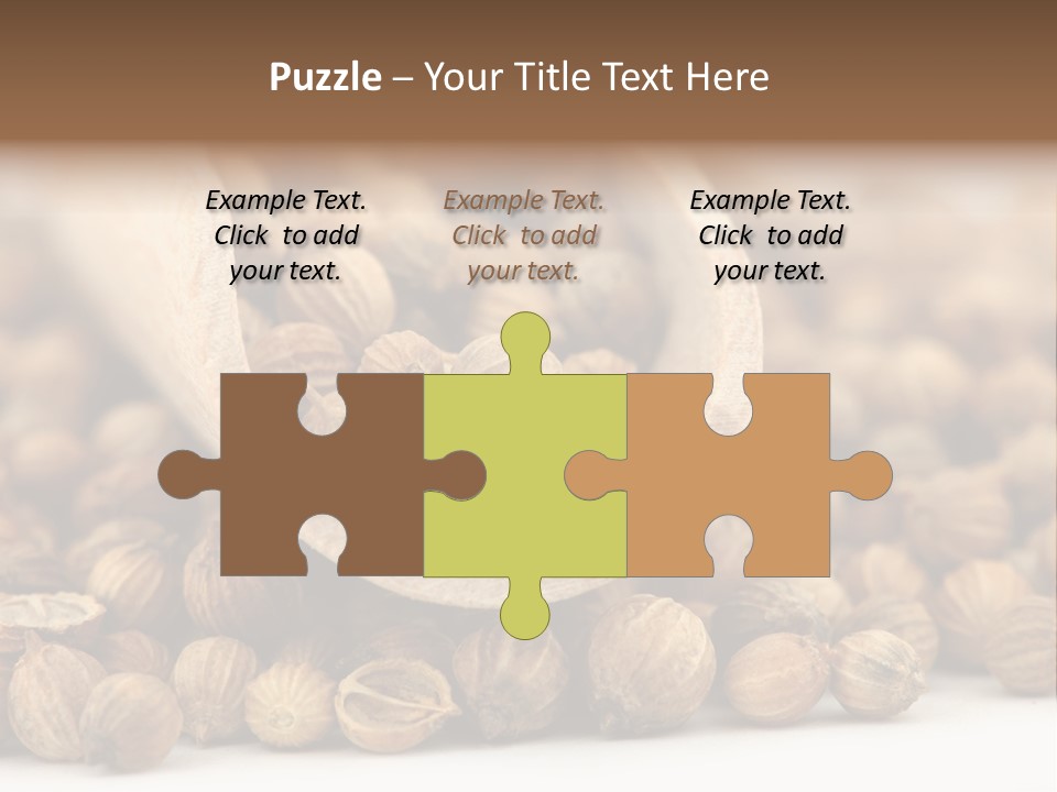 Spice Close Up Coriander PowerPoint Template