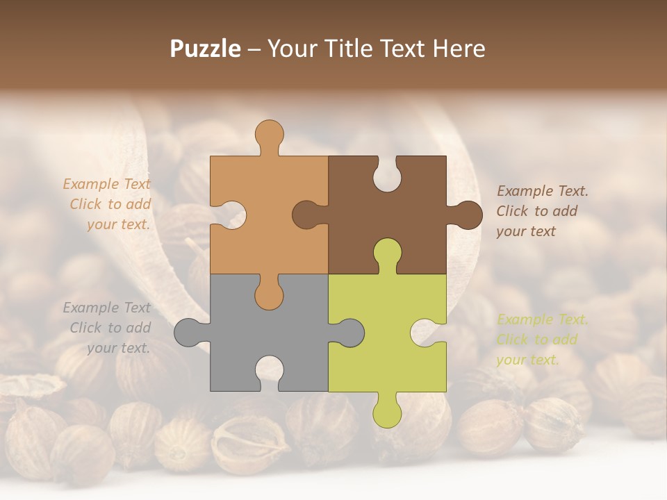 Spice Close Up Coriander PowerPoint Template