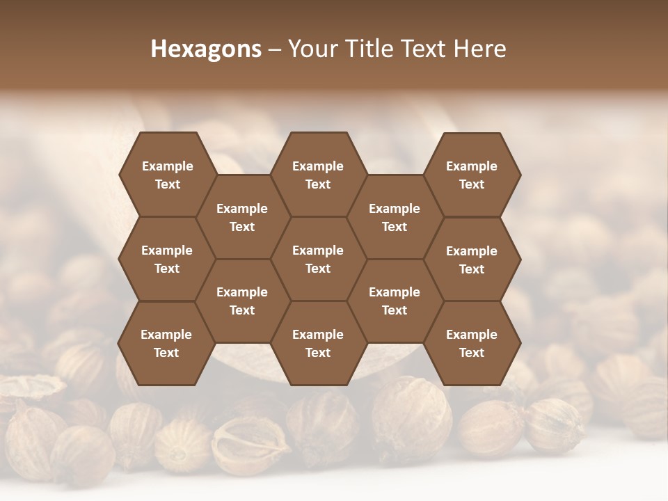 Spice Close Up Coriander PowerPoint Template