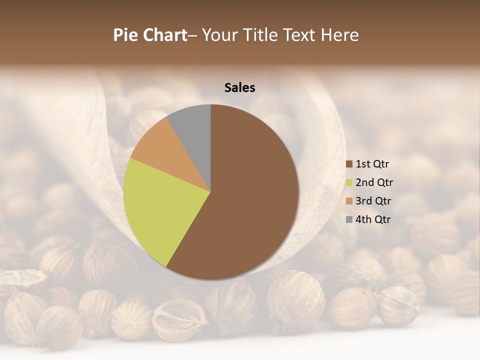Spice Close Up Coriander PowerPoint Template
