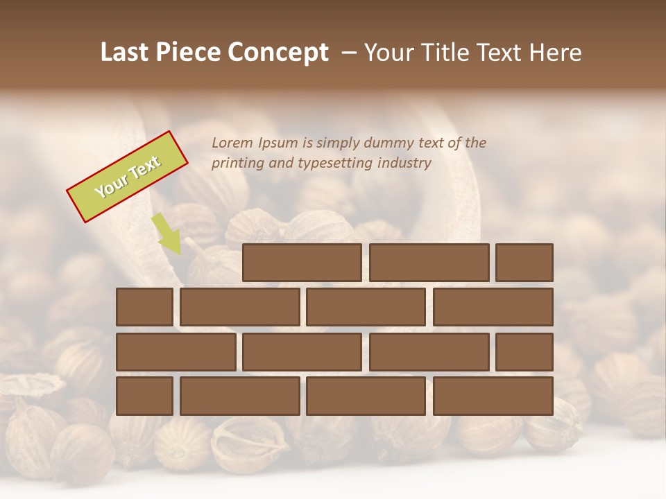 Spice Close Up Coriander PowerPoint Template