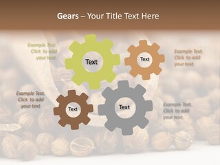 Spice Close Up Coriander PowerPoint Template