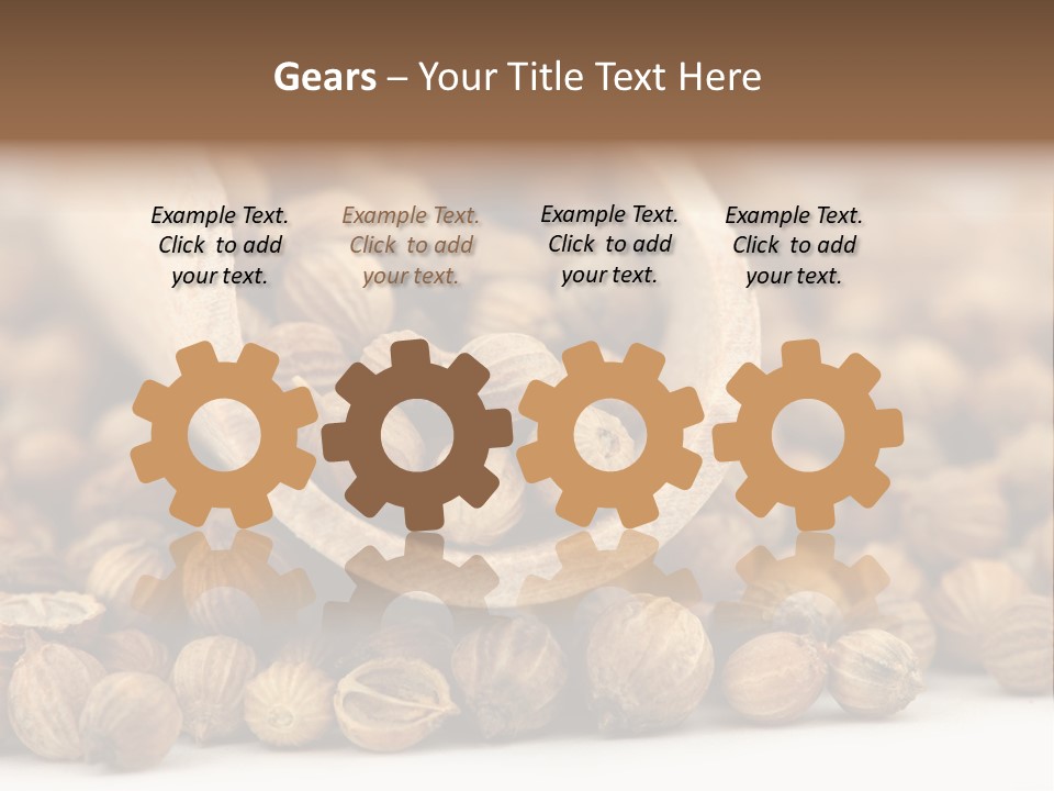 Spice Close Up Coriander PowerPoint Template