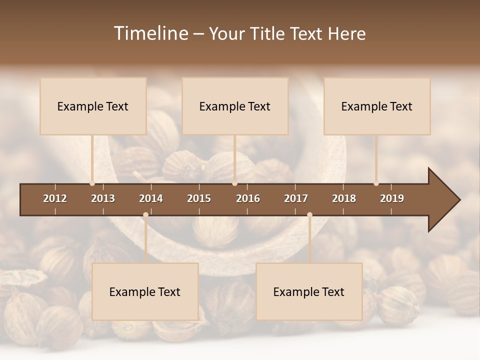 Spice Close Up Coriander PowerPoint Template